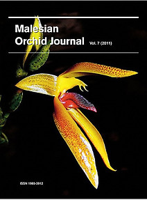 Malesian Orchid Journal Vol 7 (2011) - Jeffrey J Wood (ed)