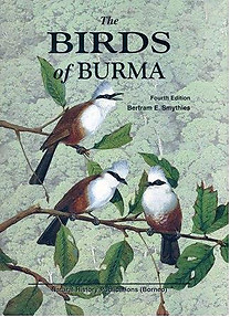 The Birds of Burma - Bertram E Smythies