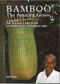 Bamboo: The Amazing Grass - KM Wong