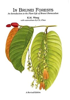 In Brunei Forests: An Introduction to The Plant Life of Brunei Darussalam - KM Wong