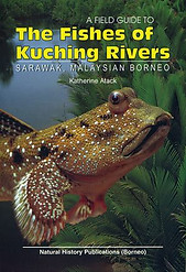 A Field Guide to the Fishes of Kuching Rivers, Sarawak, Malaysian Borneo - Katherine Atack