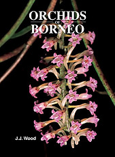 Orchids of Borneo- Volume 4 - JJ Wood