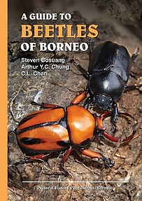 A Guide to Beetles of Borneo - Steven Bosuang , Arthur Y.C. Chung & C.L. Chan