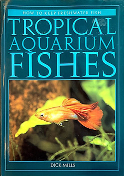 Tropical Aquarium Fishes - Dick Mills