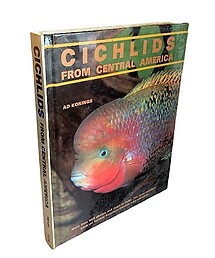 Cichlids from Central America - AD Konings