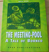 The Meeting Pool: A Tale of Borneo - Mervyn Skipper